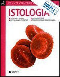 istologia (atlanti scientifici) calloni/innocenti 8809051068